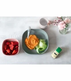 BEABA 4-Piece Silicone Dinner Set - Eucalyptus -Little Unicorn Store beaba 4 piece silicone dinner set eucalyptus 9
