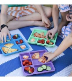 Bobo&boo Bamboo Divided Plate - Flamingo Pink -Little Unicorn Store bobo boo bamboo divided plate flamingo pink 136