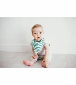 Copper Pearl Baby Bandana Bibs, 4 Pack - Oxford -Little Unicorn Store copper pearl baby bandana bibs 4 pack oxford 232