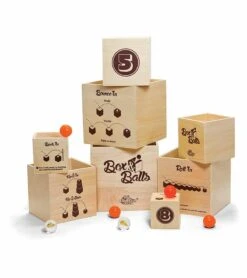 Fat Brain Toys Box & Balls