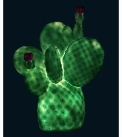 Goodnight Light Cactus Lamp - Mint 8 Goodnight Light Cactus Lamp - Mint -Little Unicorn Store goodnight light cactus lamp mint 185