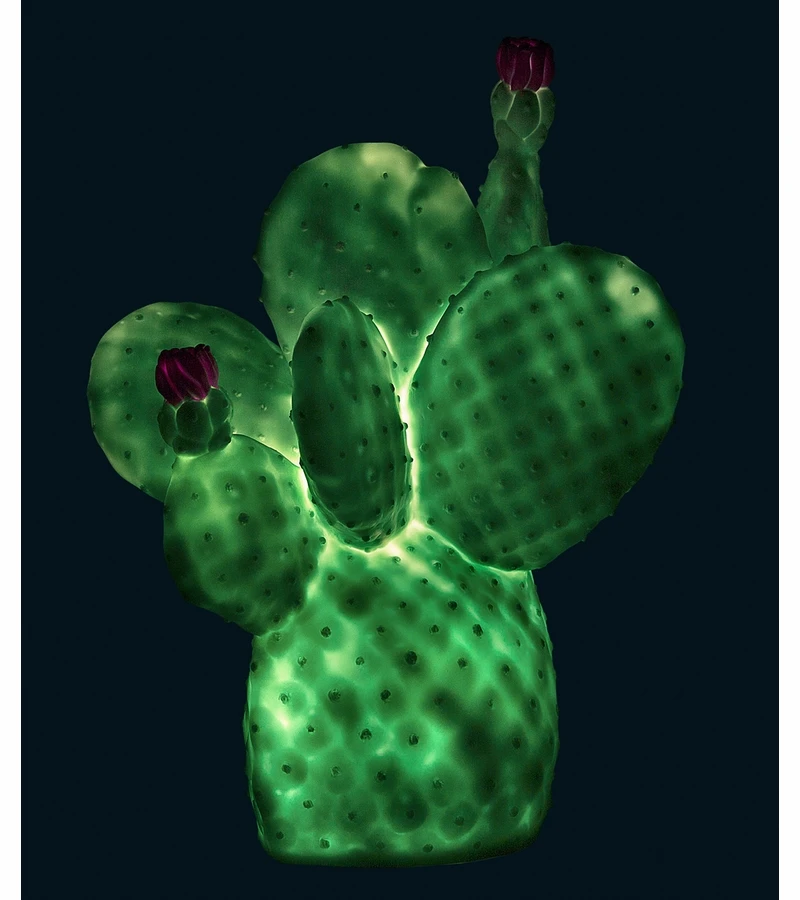 Goodnight Light Cactus Lamp - Mint 4 Goodnight Light Cactus Lamp - Mint - Image 2