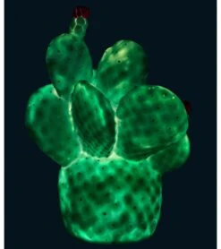 Goodnight Light Cactus Lamp - Mint 10 Goodnight Light Cactus Lamp - Mint -Little Unicorn Store goodnight light cactus lamp mint 187