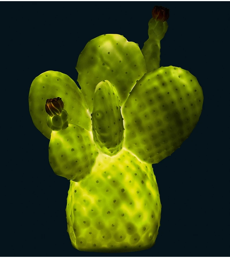 Goodnight Light Cactus Lamp - Pale Green 4 Goodnight Light Cactus Lamp - Pale Green - Image 2