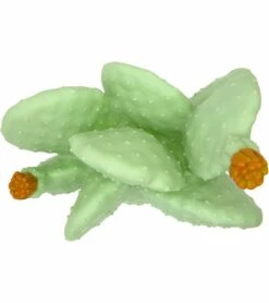 Goodnight Light Cactus Lamp - Pale Green 11 Goodnight Light Cactus Lamp - Pale Green -Little Unicorn Store goodnight light cactus lamp pale green 192