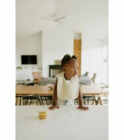 Little Unicorn Cotton Muslin Classic Bib 3 Pack - Rose Petal -Little Unicorn Store little unicorn cotton muslin classic bib 3 pack rose petal 137