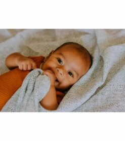 Little Unicorn Cotton Muslin Swaddle 3 Pack - Summer Poppy 2 Set -Little Unicorn Store little unicorn cotton muslin swaddle 3 pack summer poppy 2 set 136