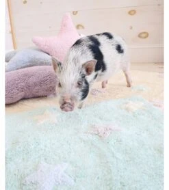 Lorena Canals Tricolor Stars Rug - Soft Mint (4' X 5' 3") 12 Lorena Canals Tricolor Stars Rug - Soft Mint (4' X 5' 3") -Little Unicorn Store lorena canals tricolor stars rug soft mint 4 x 5 3 222