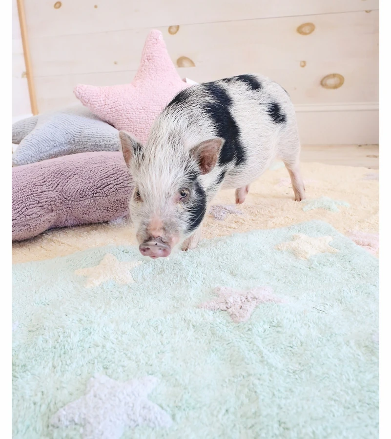 Lorena Canals Tricolor Stars Rug - Soft Mint (4' X 5' 3") 6 Lorena Canals Tricolor Stars Rug - Soft Mint (4' X 5' 3") - Image 4