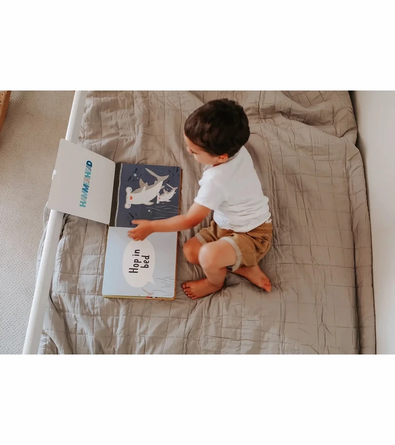 Lucy Darling Board Book - Grab Your Pillow, Armadillo 4 Lucy Darling Board Book - Grab Your Pillow, Armadillo - Image 2