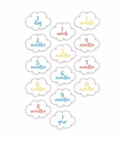 Mary Meyer Lulujo Baby's First Year Blanket & Cards Set - You Are My Sunshine -Little Unicorn Store lulujo baby s first year blanket cards set you are my sunshine 75