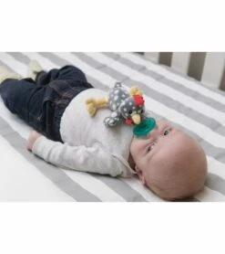 Mary Meyer Wubbanub Pacifier - Rocky Chicken -Little Unicorn Store mary meyer wubbanub pacifier rocky chicken 94