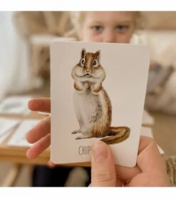 Modern Monty Snap & Go Fish - Woodland (2 Card Games In 1) -Little Unicorn Store modern monty snap go fish woodland 2 card games in 1 154