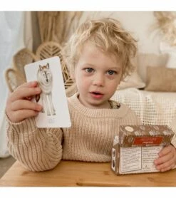 Modern Monty Snap & Go Fish - Woodland (2 Card Games In 1) -Little Unicorn Store modern monty snap go fish woodland 2 card games in 1 155