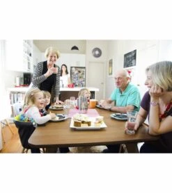 Mountain Buggy Pod V2 Portable Hook On Table Chair - Flint -Little Unicorn Store mountain buggy pod v2 portable hook on table chair flint 43