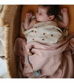 Mushie Silicone Pacifier Clip Eva - Cloud -Little Unicorn Store mushie silicone pacifier clip eva cloud 9