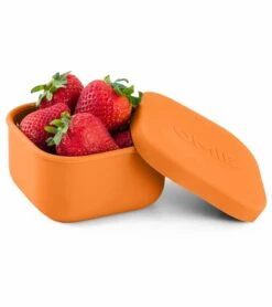 Omie Life OmieSnack Container - Orange
