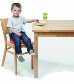 OXO Tot Perch Portable Booster Chair With Straps - Orange -Little Unicorn Store oxo tot perch portable booster chair with straps orange 46