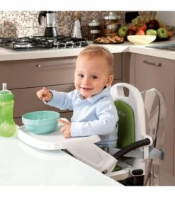 Peg Perego Rialto Booster Chair - Mint -Little Unicorn Store peg perego rialto booster chair fragola 155 1