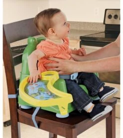 Little Unicorn Store -Little Unicorn Store safety 1st play safe swing tray booster seat 120