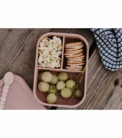 The Dearest Grey Silicone Bento Box - Rosewood -Little Unicorn Store the dearest grey silicone bento box rosewood 89